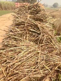 Close-up of hay bales on field against sky