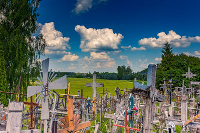 Plants growing on field against sky