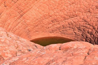 Lower sand cove trail vortex  snow canyon red cliffs national conservation area saint george utah