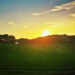 Scenic view of grassy field against sky at sunset