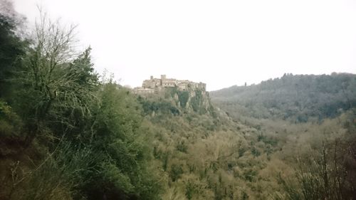 Panoramic shot of trees on landscape against clear sky