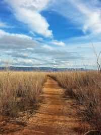 Scenic view of landscape against cloudy sky