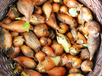 High angle view of vegetables for sale at market
