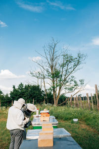 Beekeepers examining beehives on land