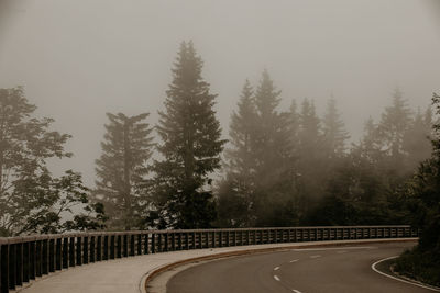 Empty road amidst trees against sky