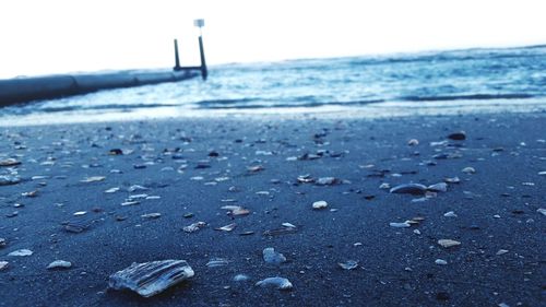 Close-up of water on beach against sky