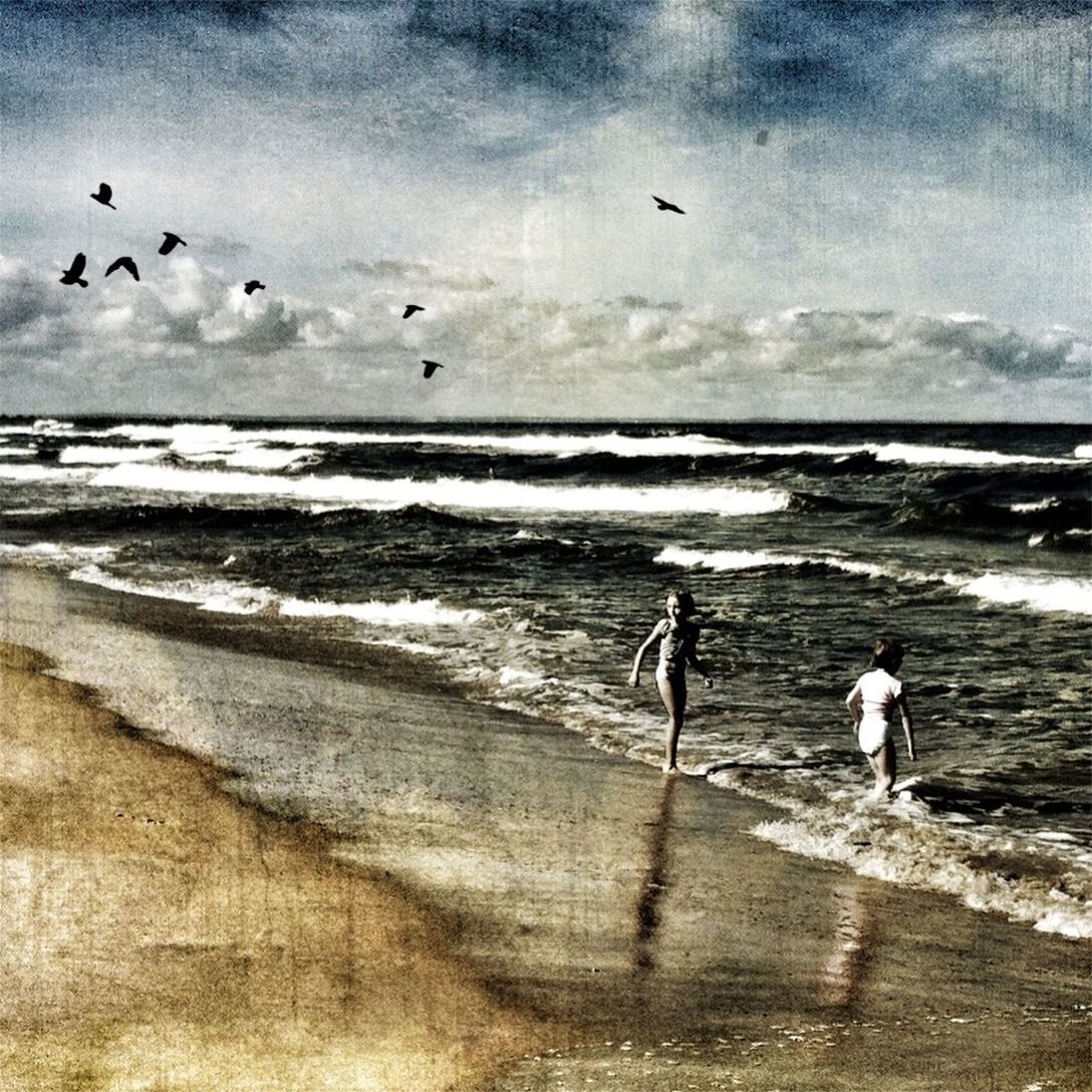 sea, beach, water, horizon over water, bird, shore, sky, animal themes, sand, wave, lifestyles, leisure activity, full length, flying, walking, animals in the wild, seagull, nature, men