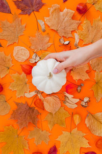 High angle view of woman holding orange flowers