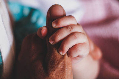 Close-up of baby gripping finger