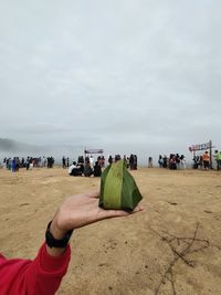 People at beach against sky