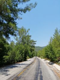 Road amidst trees against sky