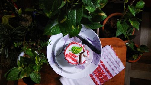 High angle view of fruits in plate on table