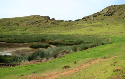 The crater lake with many abandoned moai statues, rano raraku volcano, easter island, chile