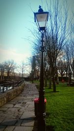 Street light in park