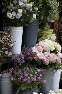 Pink flowers blooming outdoors