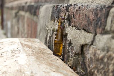 Close-up of wood against wall