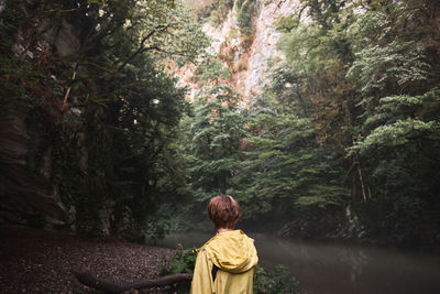 Rear view of man standing by river in forest