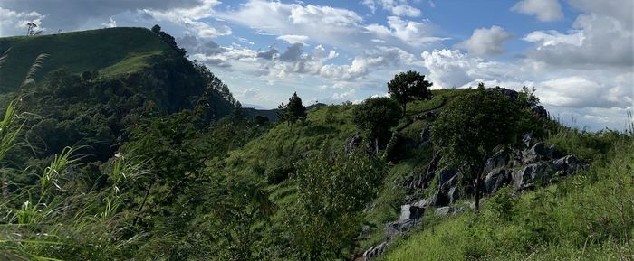 Panoramic view of land and trees against sky