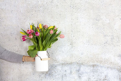 Close-up of hand holding flower vase against wall
