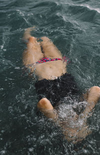 High angle view of dog swimming in pool