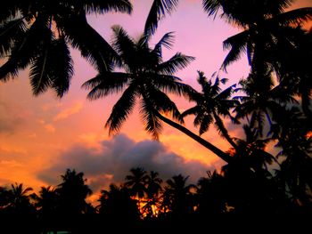 Low angle view of silhouette palm trees against romantic sky