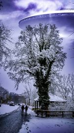 Bare tree on snow covered field against sky