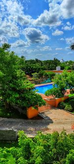 Plants by swimming pool against sky