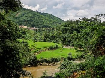 Scenic view of landscape against sky