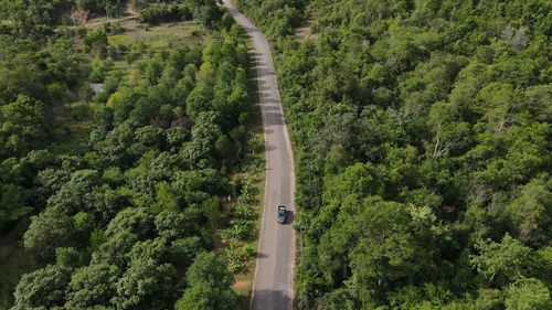 High angle view of road amidst trees in forest