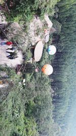 High angle view of plants in lake