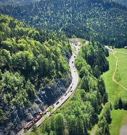 High angle view of winding road amidst trees