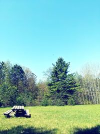 Scenic view of field against clear sky