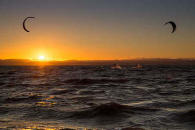 Bird flying over sea against sky during sunset