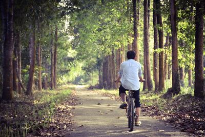 Rear view of man riding bicycle on road