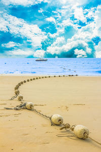 Surface level of driftwood on beach against sky