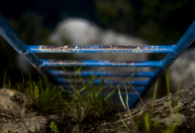 Close-up of grass