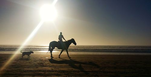 Silhouette horse on beach against sky during sunset