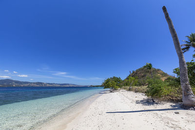 Scenic view of beach against blue sky