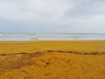 Scenic view of beach against sky