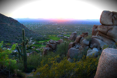 Scenic view of landscape against sky