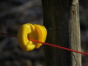 Close-up of red wire attached by yellow equipment on pole