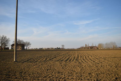 Scenic view of trees against sky