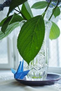 Close-up of drink on table