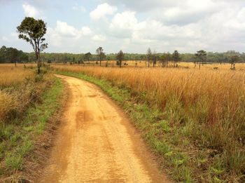 Dirt road passing through field