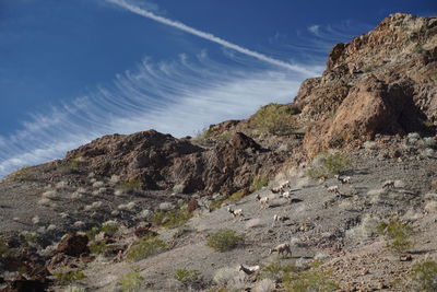 Low angle view of rock formations against sky