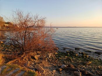 Scenic view of sea against sky during sunset