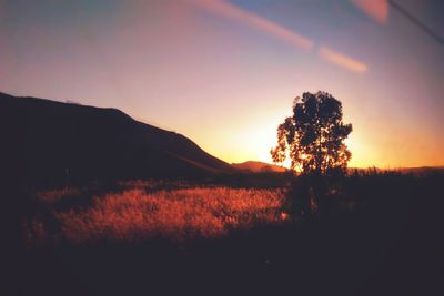 Scenic view of landscape at sunset