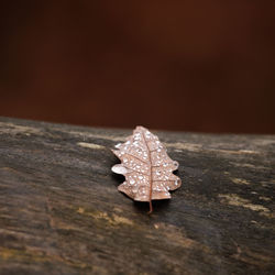 Close-up of dry leaf on wooden table