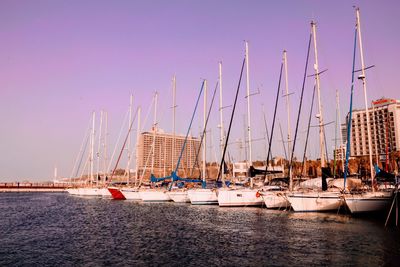 Sailboats in marina