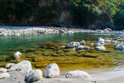 View of ducks on rocks